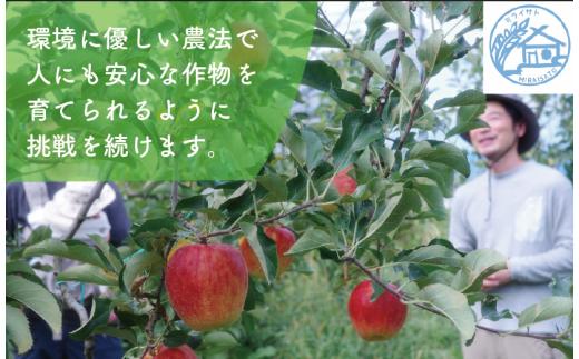 【令和8年産】佐渡産りんご「ふじ」5kg（13～18玉）ミライサト | 新潟県産りんご 新潟産りんご 佐渡産りんご 佐渡島産りんご ふじ フジ りんご リンゴ 林檎 アップル フルーツ 果物 くだもの