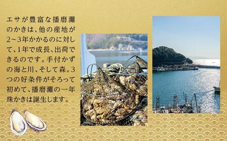 内閣総理大臣賞受賞 蒸しカキ 珠せいろ 大粒規格 500g｜【牡蠣・国産牡蠣・兵庫牡蠣・相生牡蠣・牡蠣・冷凍牡蠣・むき身牡蠣・焼き牡蠣・牡蠣フライ・牡蠣ご飯・牡蠣めし】