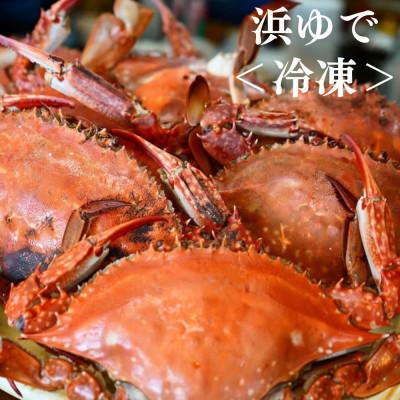 ふるさと納税 南知多町 浜ゆでワタリガニ(中サイズ)750g3〜5杯 冷凍便＼特製三杯酢付き/ |  | 01