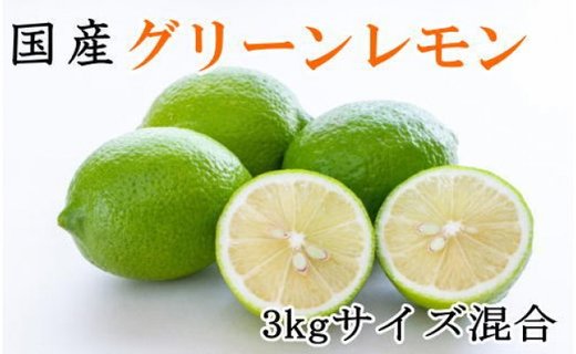 ［産直］和歌山産グリーンレモン約3kg（サイズ混合）★2025年10月下旬頃より順次発送［有田川町産］［TM7w］  BZ070
