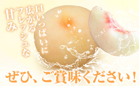 桃 なつおとめ 2kg　白桃