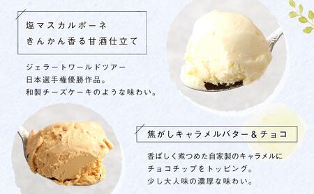 行列のできる有馬温泉スタジオーネのジェラート6個詰め合わせ