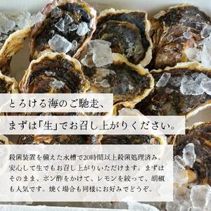訳あり 岩がき 中サイズ 10個入 3kg前後 生食用 ： 牡蠣 殻付き牡蠣