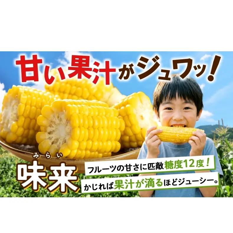 とうもろこし 味来 2Lサイズ 26本 約10kg 北海道産 朝もぎ イエロー コーン みらい