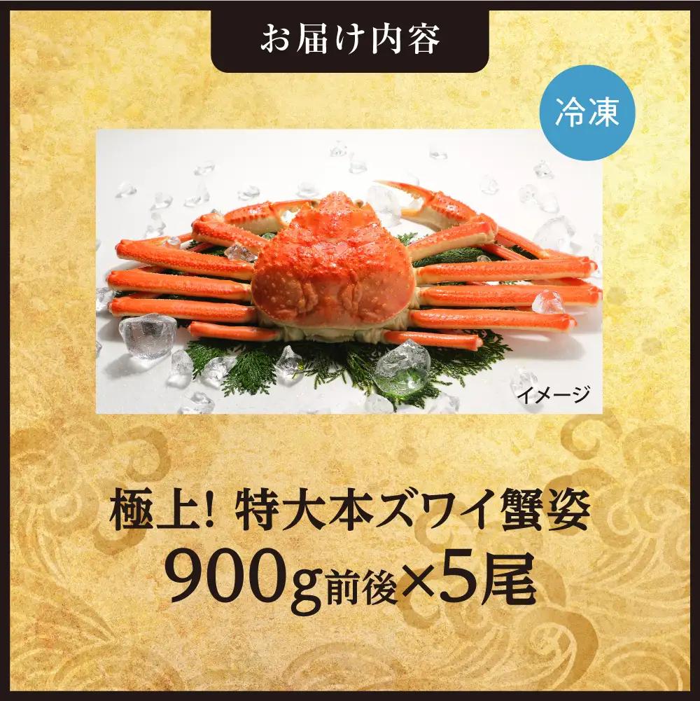 極上！特大本ズワイ蟹の姿　本ズワイ蟹　900g　5尾 | かに ズワイガニ 北海道 札幌市