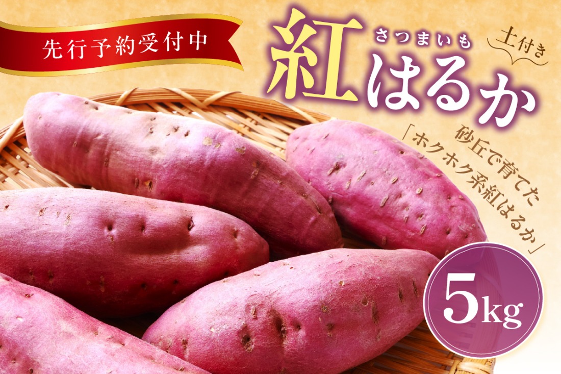 【先行予約／数量限定80】京丹後産 土付き 紅はるか（さつまいも） 5kg（2025年11月上旬～発送）　HF00008