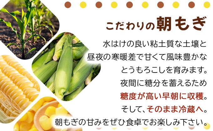 【 2027年先行予約】北海道 朝もぎ とうもろこし 恵味 ゴールド L-LLサイズ 10本｜スイート コーン トウモロコシ とうきび 旬 完熟 野菜 採れたて 朝採り 甘い めぐみ 産地直送 道産 送料無料【55250828】