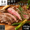 【ふるさと納税】艶さし！佐賀牛サーロインステーキ 250g×2枚(合計500g) 肉 牛肉 ステーキ 焼肉 BBQ バーベキュー ギフト アウトドア 「2025年 令和7年」