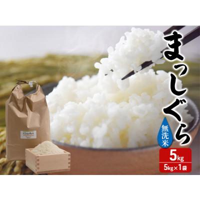 ふるさと納税 鰺ヶ沢町 令和7年産 まっしぐら 無洗米 5kg 1袋 [53841307]