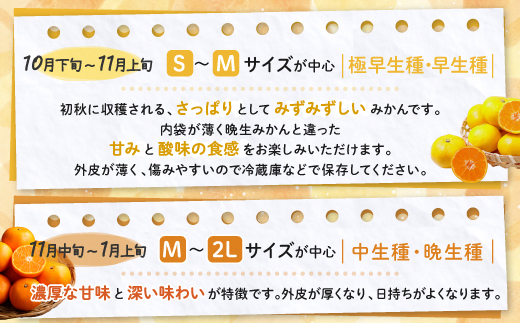 かねひろの黒酢みかん【10kg S～2L サイズ別】先行予約《11月下旬～1月上旬頃発送予定》温州みかん ふるさと納税 みかん 10kg 少量 大容量 フルーツ 甘い ジューシー 果物 蜜柑 お取り寄