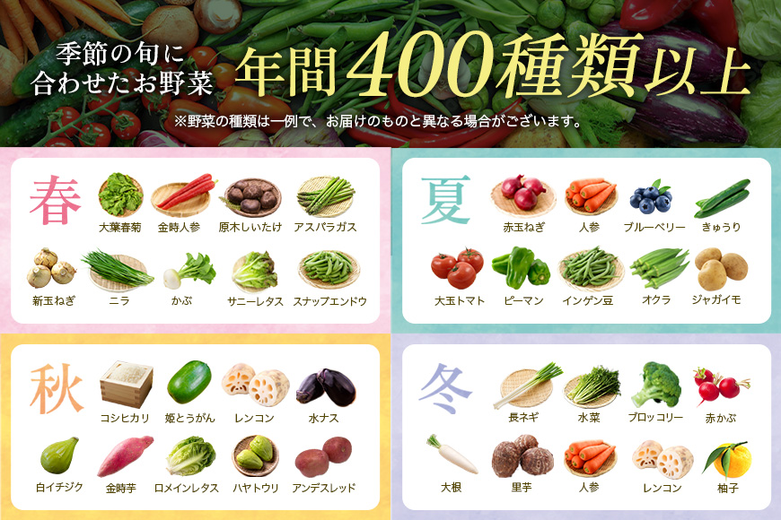 安芸高田市の小さな農家がお届けするふるさと旬野菜セット 野菜類 詰合せ やさい 