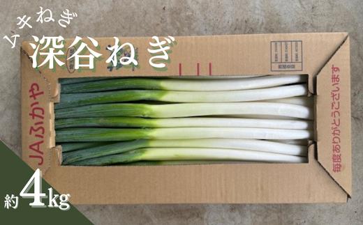 
                  深谷ねぎ　ムキねぎ　約4㎏【11218-0851】
                