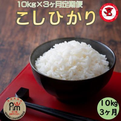 ふるさと納税 銚子市 【毎月定期便】千葉県産コシヒカリ10kg【お米マイスター厳選】全3回