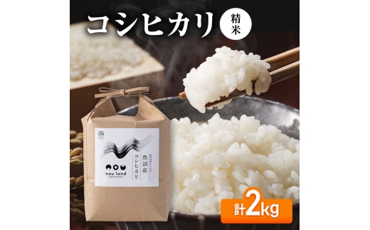 【先行予約】令和8年産 コシヒカリ精米2kg