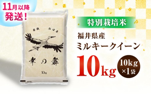 【令和7年産】【最高級 特別栽培米】福井県 小浜市産 ミルキークイーン 10kg / 米 厳選 白米 つやつや もっちり 冷めても美味しい 小浜市 / 今富の宝 [BFCI004]