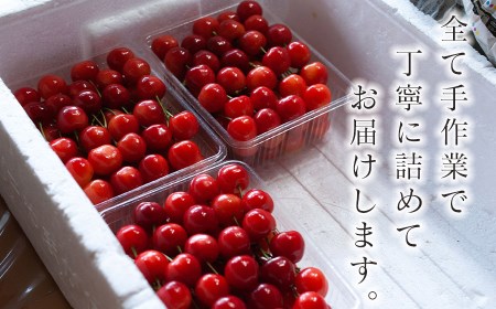 【令和9年産】さくらんぼ 紅秀峰 バラ詰め 2Lサイズ 500g 山形県鶴岡産 鈴木弥吉さくらんぼ園 K-939