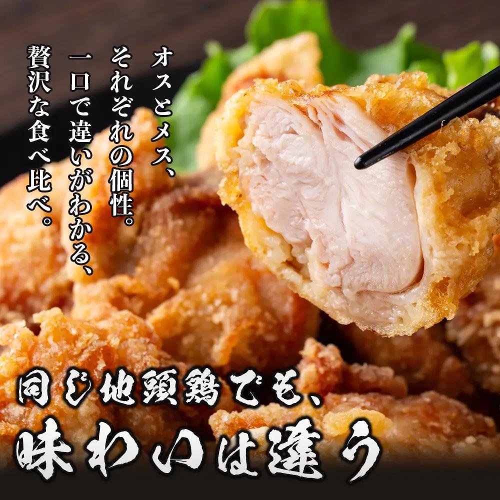みやざき地頭鶏 オスメス食べ比べ モモ肉 セット 冷凍｜鶏肉 地鶏 モモ肉 カット肉 唐揚げ 焼き鳥 チキン南蛮 じとっこ 真空パック 興洋開発株式会社 宮崎県 諸塚村 KY-06