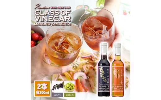 飲むお酢 300ml 2種 各1本 山ぶどう酢 梅酢 酢 飲料 お酢ドリンク 飲む酢 ビネガー フルーツビネガー 飲みやすい 山ぶどう 葡萄 梅 山ぶどう酢 梅酢 保存料不使用 着色料不使用 マルノー山形 山形 酒田 SA0835
