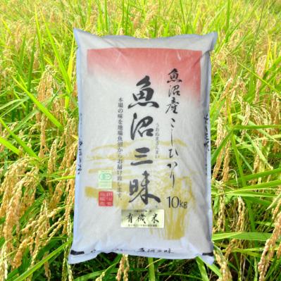 ふるさと納税 十日町市 【令和7年産】魚沼産コシヒカリ有機栽培米　10kg