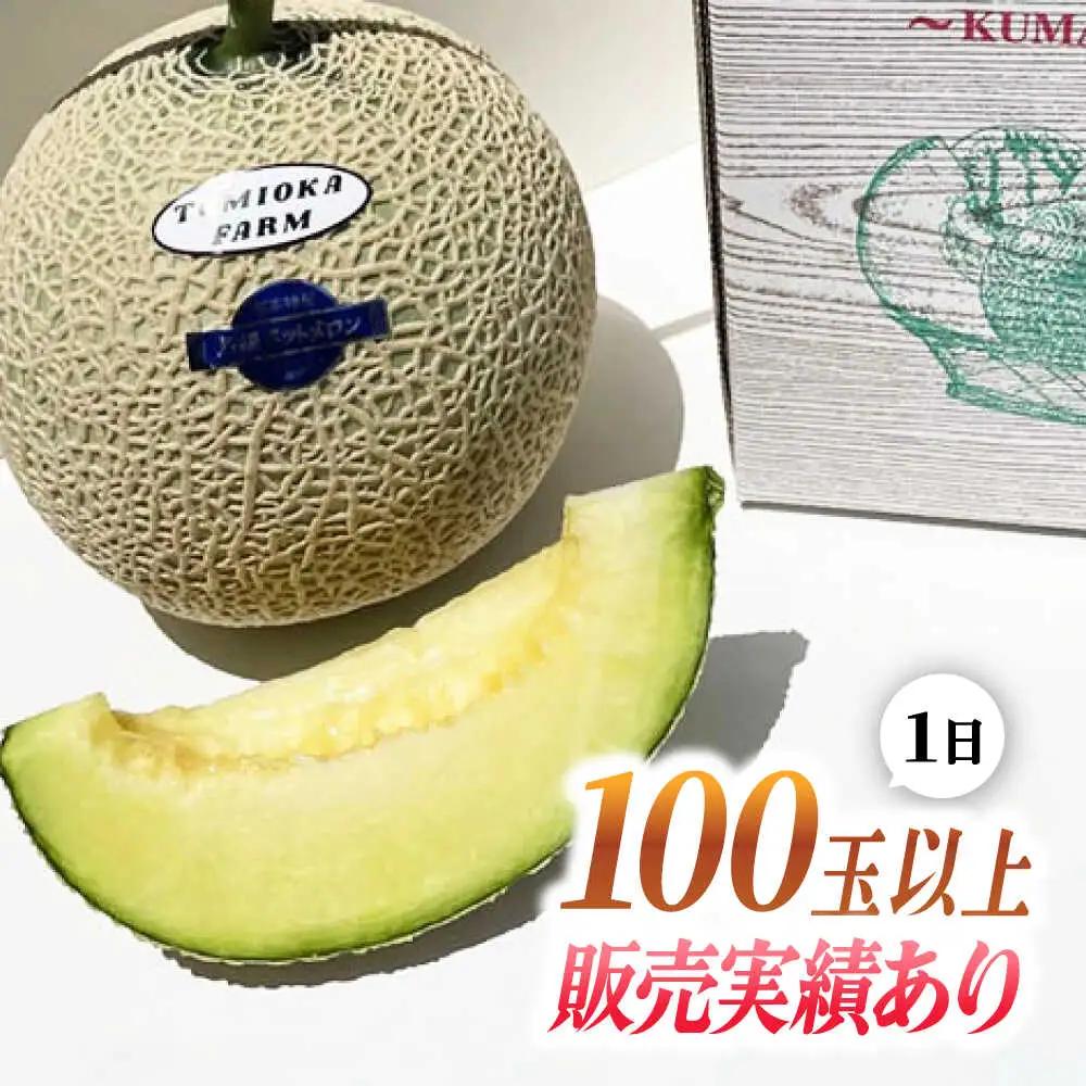 先行予約 年内発送 愛情 メロン 1玉【とみおか農園】[ZEM007]