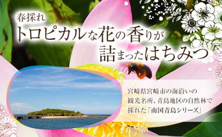 【最速便】【数量・期間限定】宮崎産非加熱ハチミツ(南国青島シリーズ)2～3種 ブォンミエーレ春のハチミツ160g×3本セット 蜂蜜 国産 非加熱