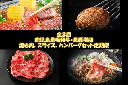 084-16 【全3回】鹿児島黒毛和牛・黒豚堪能焼き肉、スライス、ハンバーグセット定期便