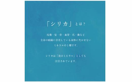 ＜Gaivota 1箱(500ml×24本/箱)+1箱(2L×6本/箱)＞北のハイグレード食品 天然シリカ水 ミネラルウォーター 軟水