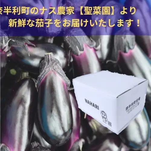 131901　奈半利町の茄子 【慎太郎】定期便10本