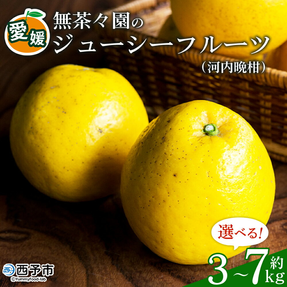 【ふるさと納税】【先行予約】＜無茶々園のジューシーフルーツ（河内晩柑）約3kg/5kg/7kg＞ 果物 フルーツ 選べる内容量 かわちばんかん みかん ミカン 蜜柑 柑橘 期間限定 季節限定 食べて応援 特産品 愛媛県 西予市 【常温】『2027年4月上旬～6月上旬迄に順次出荷予定』