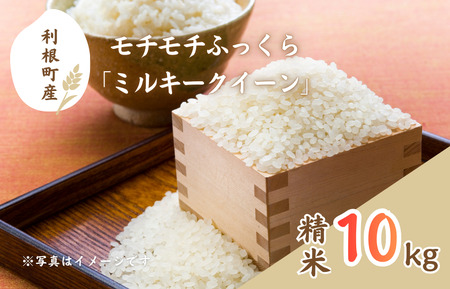 モチモチふっくら「ミルキークイーン」精米10kg ／ 米 こめ コメ お米 ご飯 ごはん ミルキークイーン 白米 精米 令和7年産 新米 10kg 利根町 送料無料