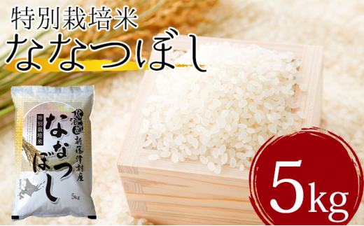 
北海道新篠津村産　特別栽培米ななつぼし5kg
