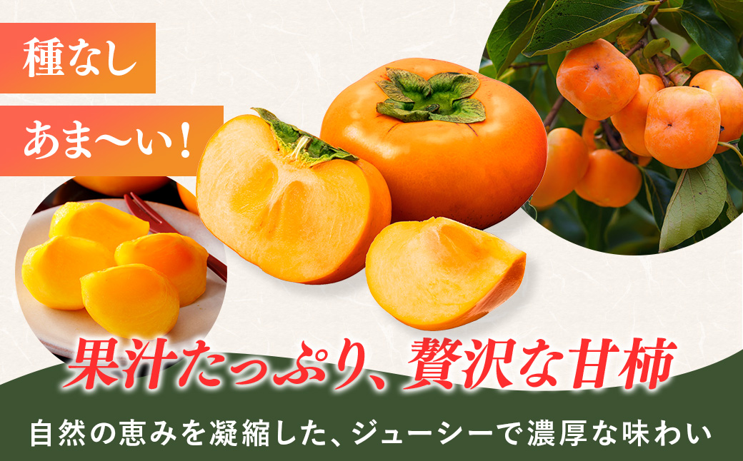 【先行予約】【秋の美味】【和歌山ブランド】濃厚たねなし柿 秀品 L〜４Lサイズ 約7.5kg入り ◇※北海道・沖縄・離島への配送不可※2025年10月上旬～11月上旬頃に順次発送予定【GO-02】