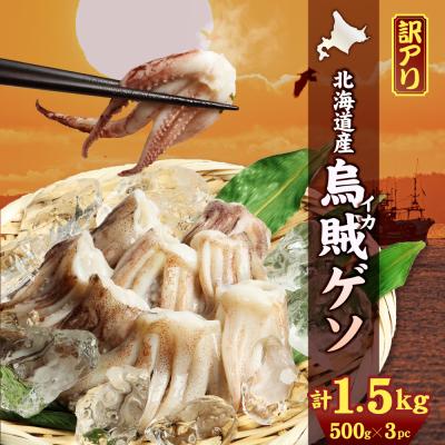 ふるさと納税 興部町 〔ワケあり〕北海道産　イカゲソ1.5kg