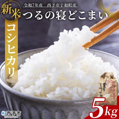 ふるさと納税 西予市 【先行予約】新米 &lt;令和7年産 コシヒカリ「つるの寝どこまい」約5kg 西予市宇和町産&gt;
