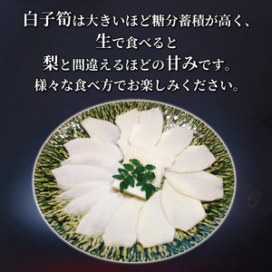 京たけのこをまるまる1本 白子京筍 冷凍 1本4kg たけのこ