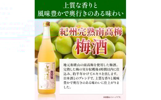 梅酒 紀州完熟南高梅 梅酒 720ml 酒のねごろっく《90日以内に出荷予定(土日祝除く)》和歌山県 岩出市 梅酒 梅 うめ 紀州南高梅 720ml おつまみ おさけ お酒 晩酌 ストック 家飲み 宅