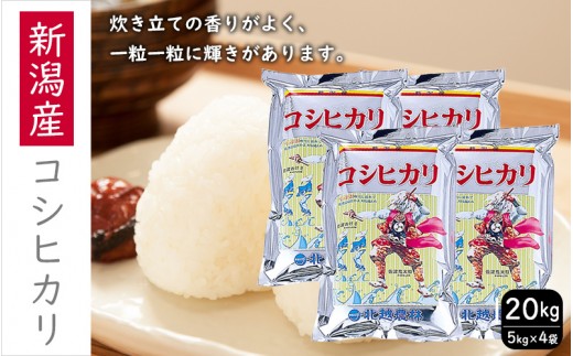 
                  こしひかり 新潟産 コシヒカリ 20kg 米 お米 こめ コメ ごはん 新潟 白米 コシヒカリ ブランド米 銘柄米 お取り寄せ 産地直送 
                