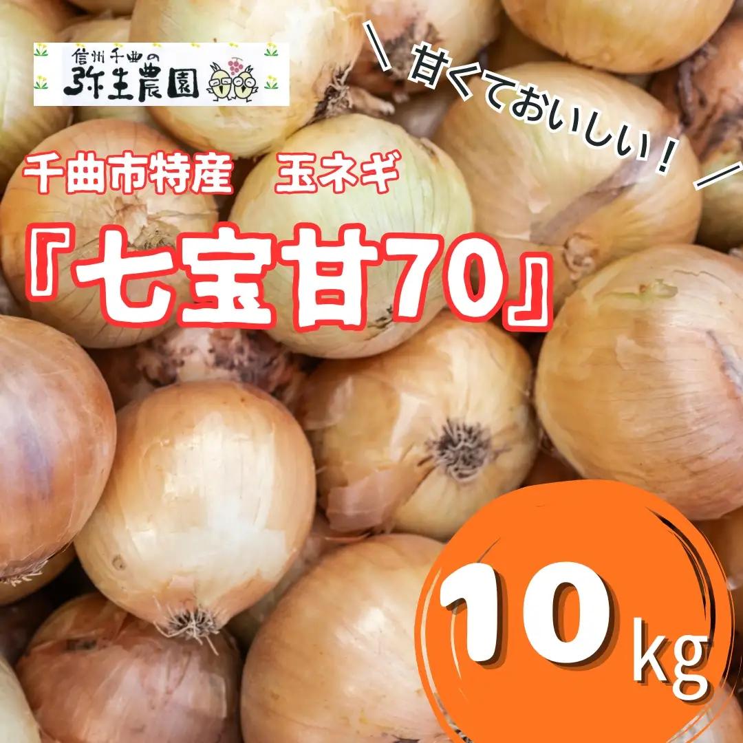 千曲市特産 玉ネギ ｢七宝甘70｣ 10kg | 玉ねぎ