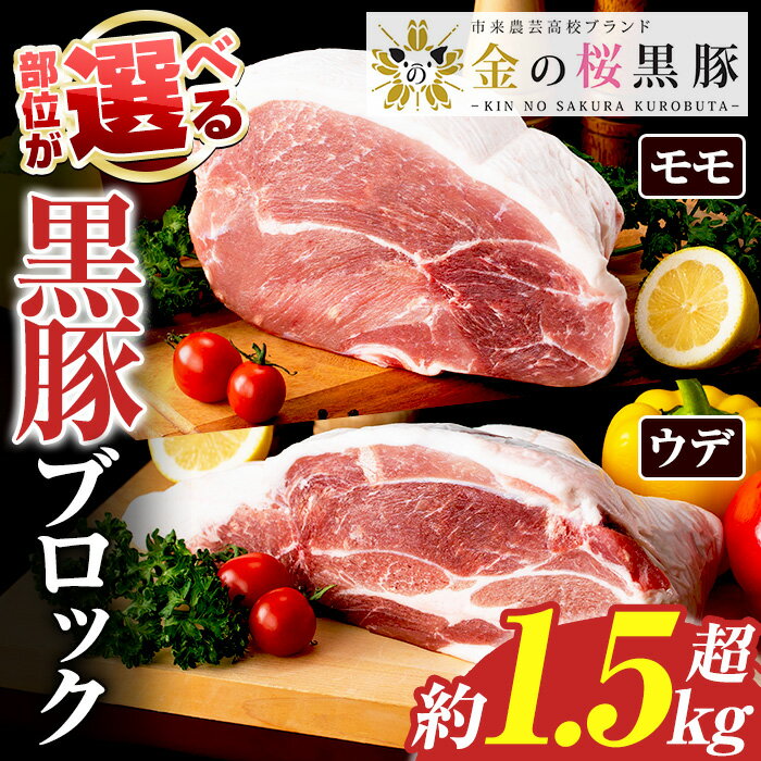 【ふるさと納税】＜部位が選べる！＞金の桜黒豚ブロック(モモ/ウデ・約1.5kg超) 国産 鹿児島県産 黒豚 豚肉 ブロック ブロック肉 モモ ウデ モモ肉 ウデ肉 お肉 BBQ キャンプ 焼肉 野菜炒め 冷しゃぶ 肉じゃが 生姜焼き【エーエフ企画】