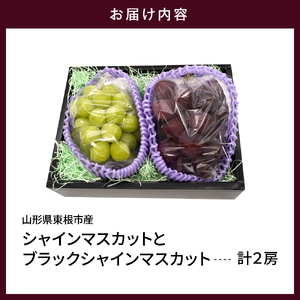 【2025年産　先行予約】山形県東根市産　シャインマスカットとブラックシャインマスカット「富士の輝」の詰め合わせ約1.2kg hi074-006-1　令和7年産 2025年産 ふるさと納税 フルーツ 