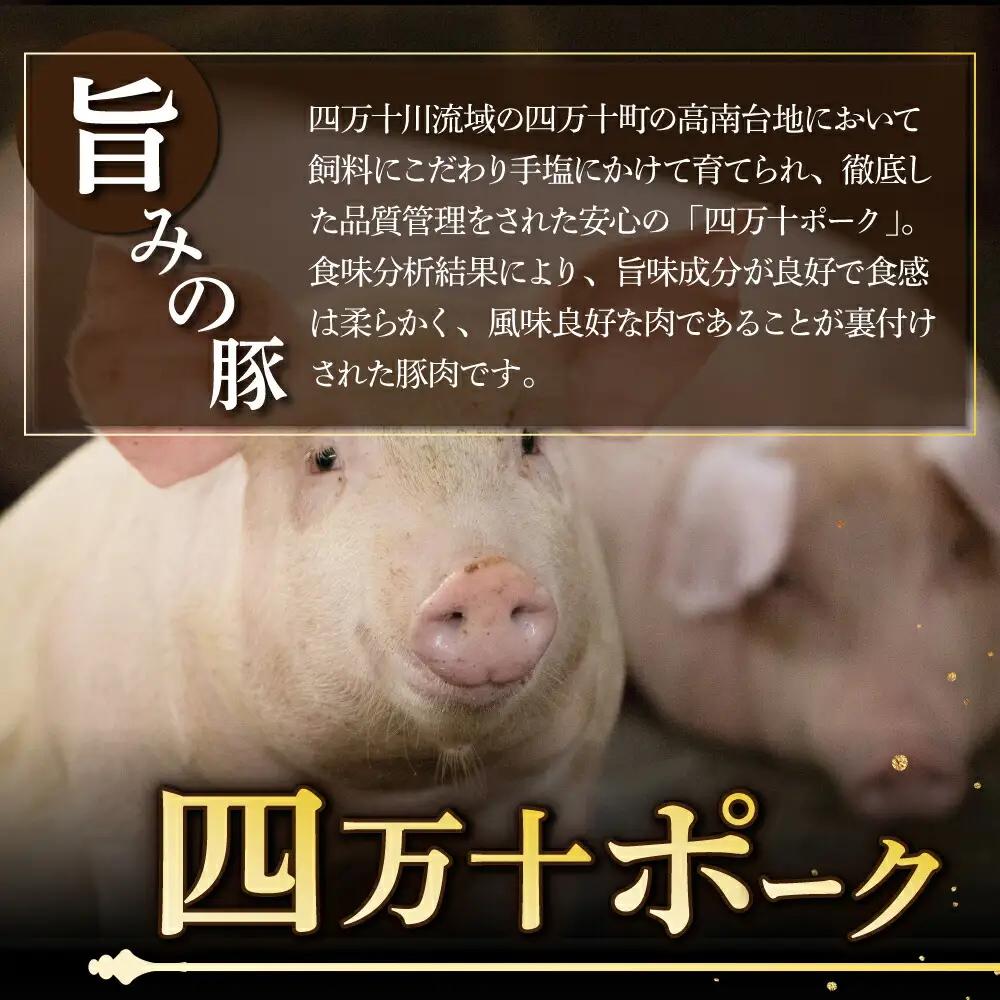 湯煎するだけ！土佐あかうしと四万十ポークのハンバーグ　１５個セット