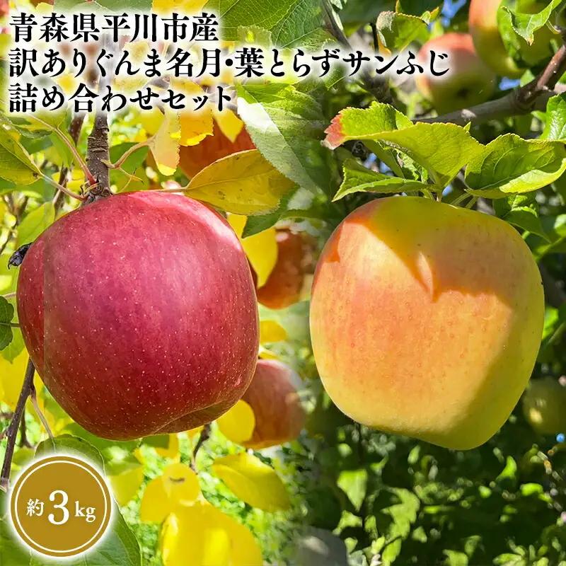りんご 家庭用 ぐんま名月・葉とらずサンふじ詰め合わせセット 約3kg 青森県平川市産 りんご