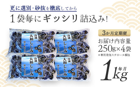 【 3ヵ月定期便 】砂抜き済みで手間いらず！冷凍・小川原湖産大和しじみ1kg（250g×4袋）【02408-0089】