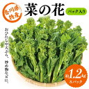 【ふるさと納税】 【先行予約】菜の花 パック入り 約1.2kg (8パック) （2024年12月上旬〜2025年3月下旬頃順次発送）なの花 菜の花 おひたし 天ぷら 炒め物 春 野菜 食品 名産 四国 F5J-373