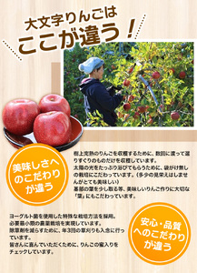 【令和6年度分予約受付】大文字りんご園 サンふじ 約3kg (7～10玉) 【2024年12月上旬より順次発送】/ りんご りんご りんご りんご りんご りんご りんご りんご りんご りんご りん