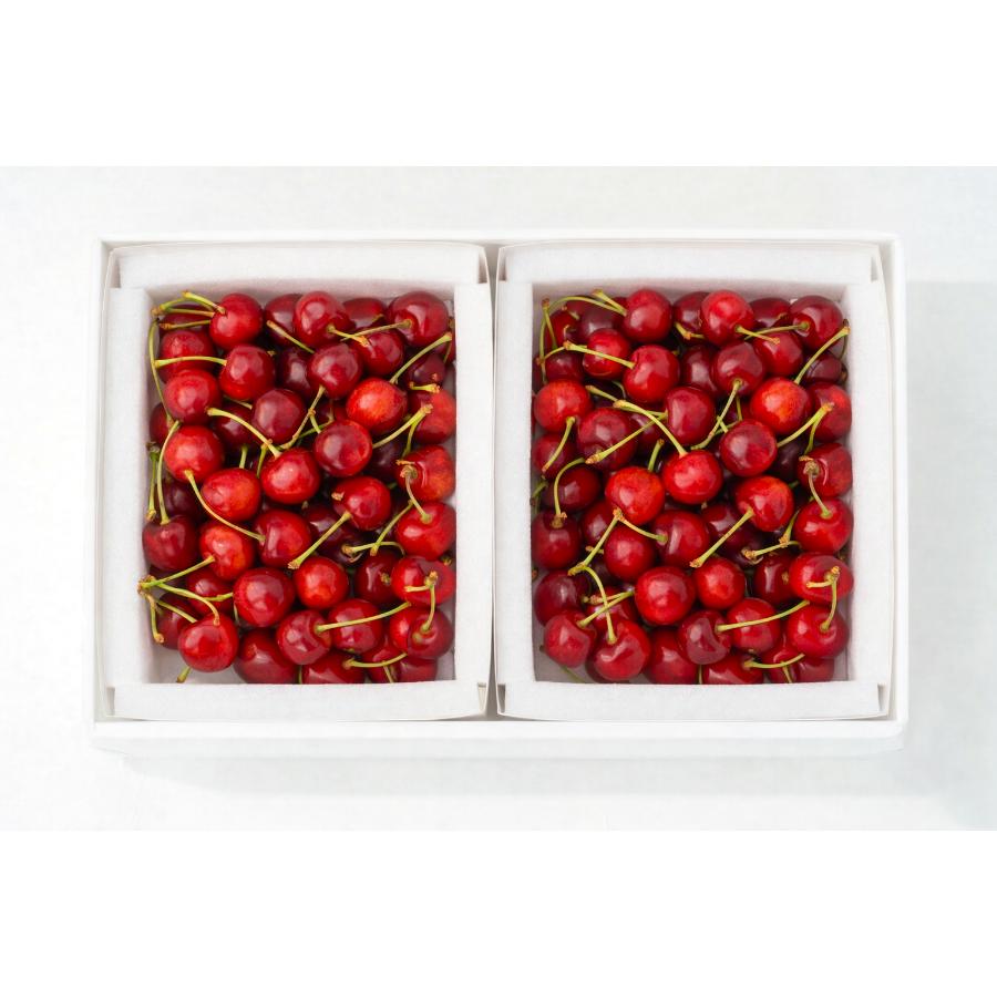 ＜大橋さくらんぼ園＞さくらんぼ勝錦（ほまれにしき）バラ500g×2パック