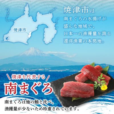 ふるさと納税 焼津市 焼津港水揚げ ・南まぐろ(a10-430) |  | 02