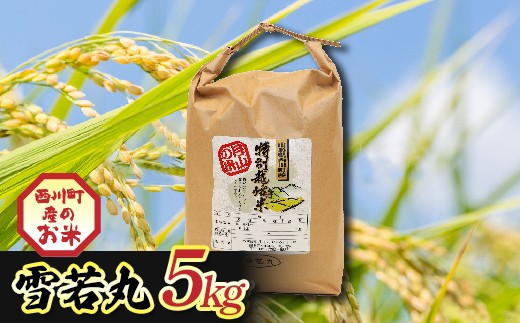 令和7年度 山形県西川町産 雪若丸 5kg 精米 白米 ブランド米 米 ご飯 ごはん 自宅用 家庭用 FYN6-553