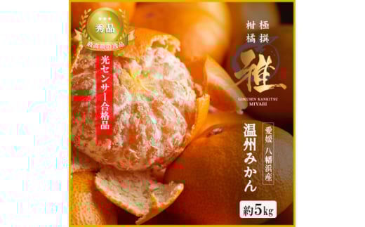 特撰柑橘＜雅＞光センサー合格品「八幡浜温州みかん」約5キロ ＜D39-54＞【1491404】