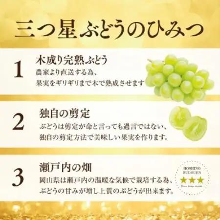 星乃 シャインマスカット 2kg以上 3～4房 数量限定 岡山県産【1778126】